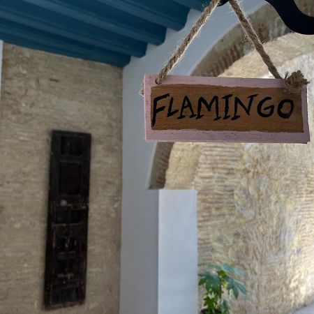Apartament Camasanlucar Sanlúcar de Barrameda Zewnętrze zdjęcie